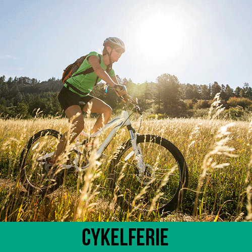 Aktiv cykelferie på den danske vestkyst, med mulighed for at tage sin mountainbike, racercykel eller gravelcykel med. Både en familieferie, eller store grupper, i flot natur.