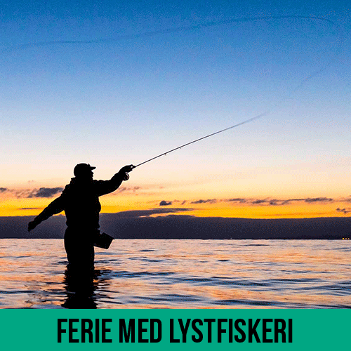 Aktiv naturferie med mulighed for lystfiskeri, bl.a. i vesterhavet ligesom manden på billedet.
